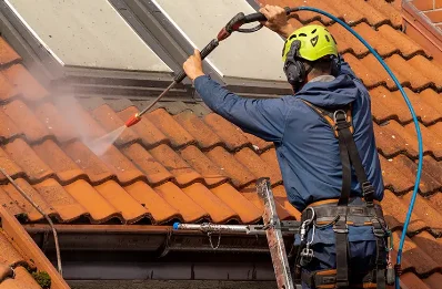 Démoussage et hydrofuge de toiture à Jumeauville